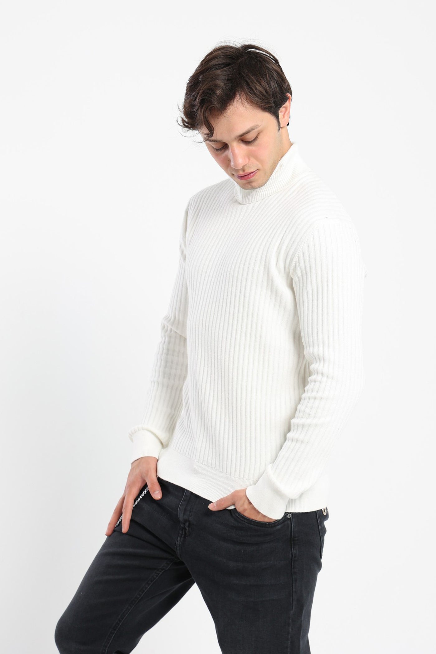 Pullover - Turtle Neck - Ribbed