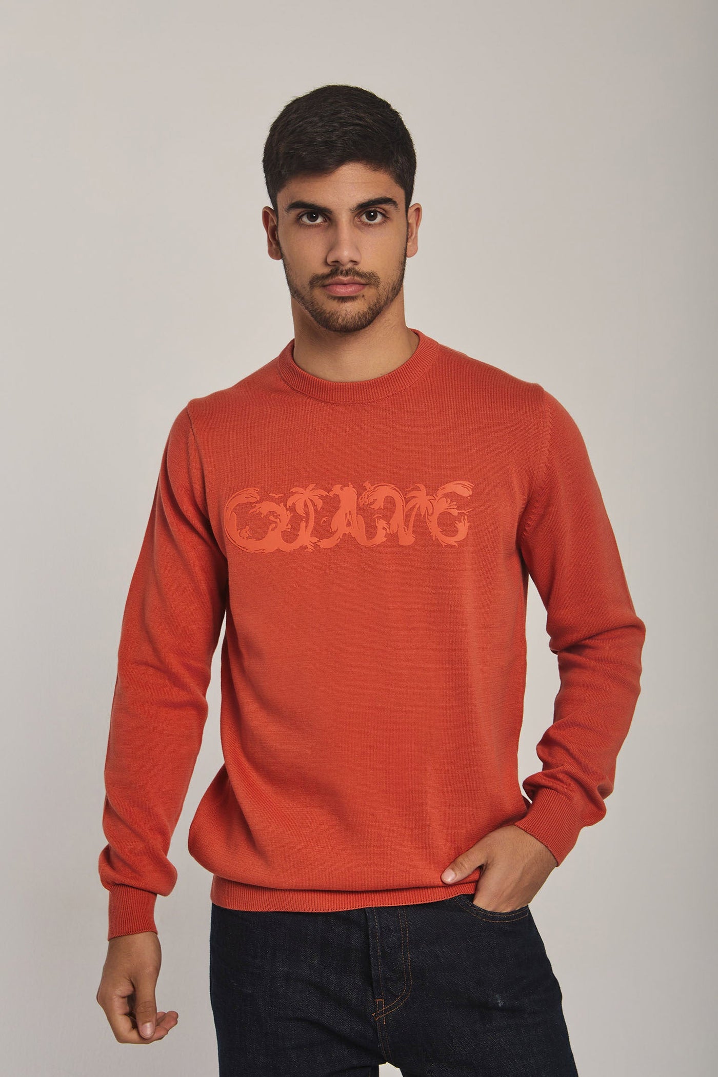 Pullover - Crew Neck - Long Sleeves