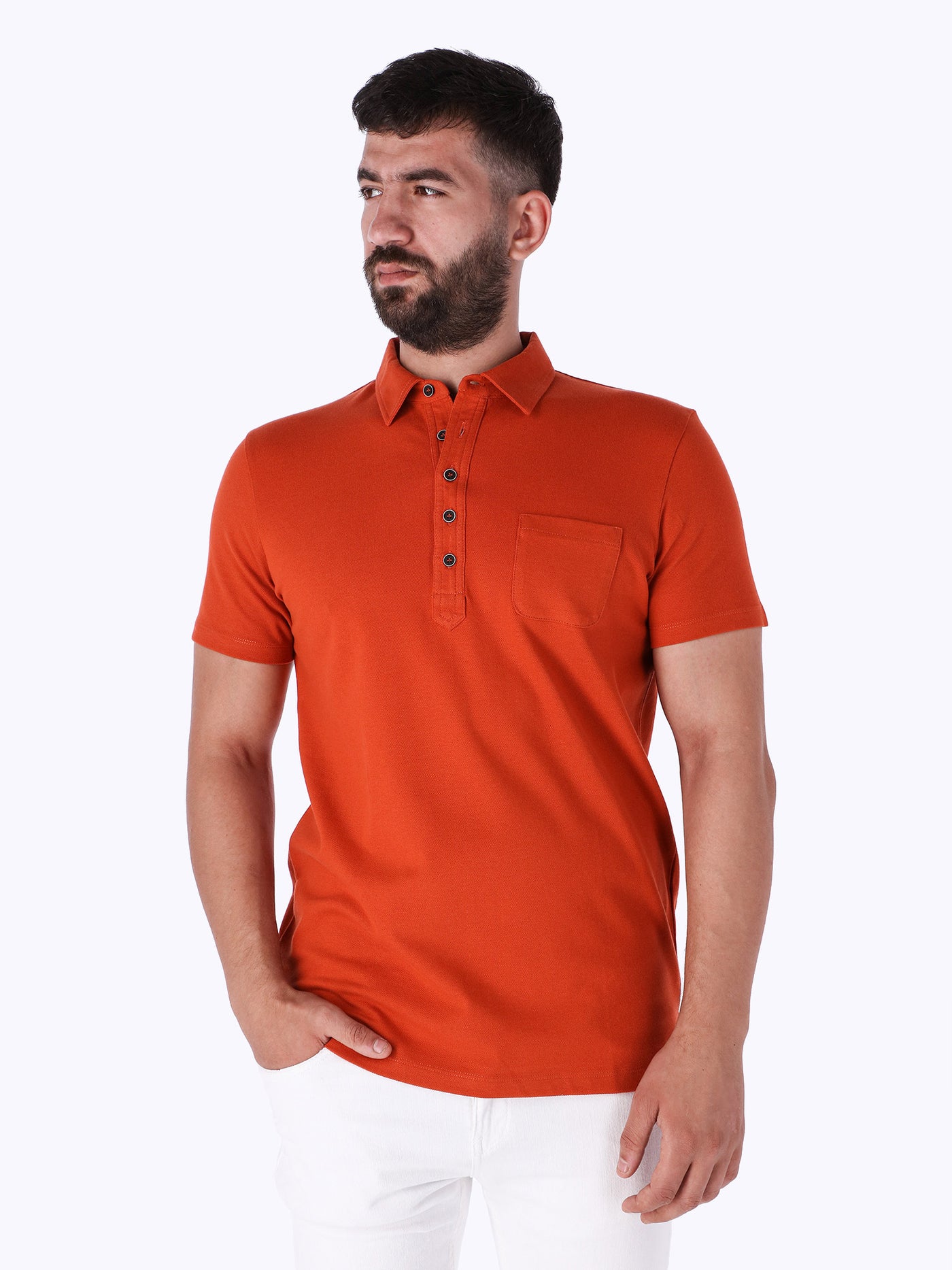 Standard Fit Polo Shirt