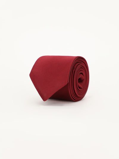 Daniel Hechter Other Accessories Classic Silk Necktie