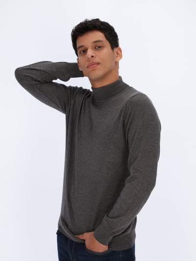Knit Sweatshirt with Turtleneck