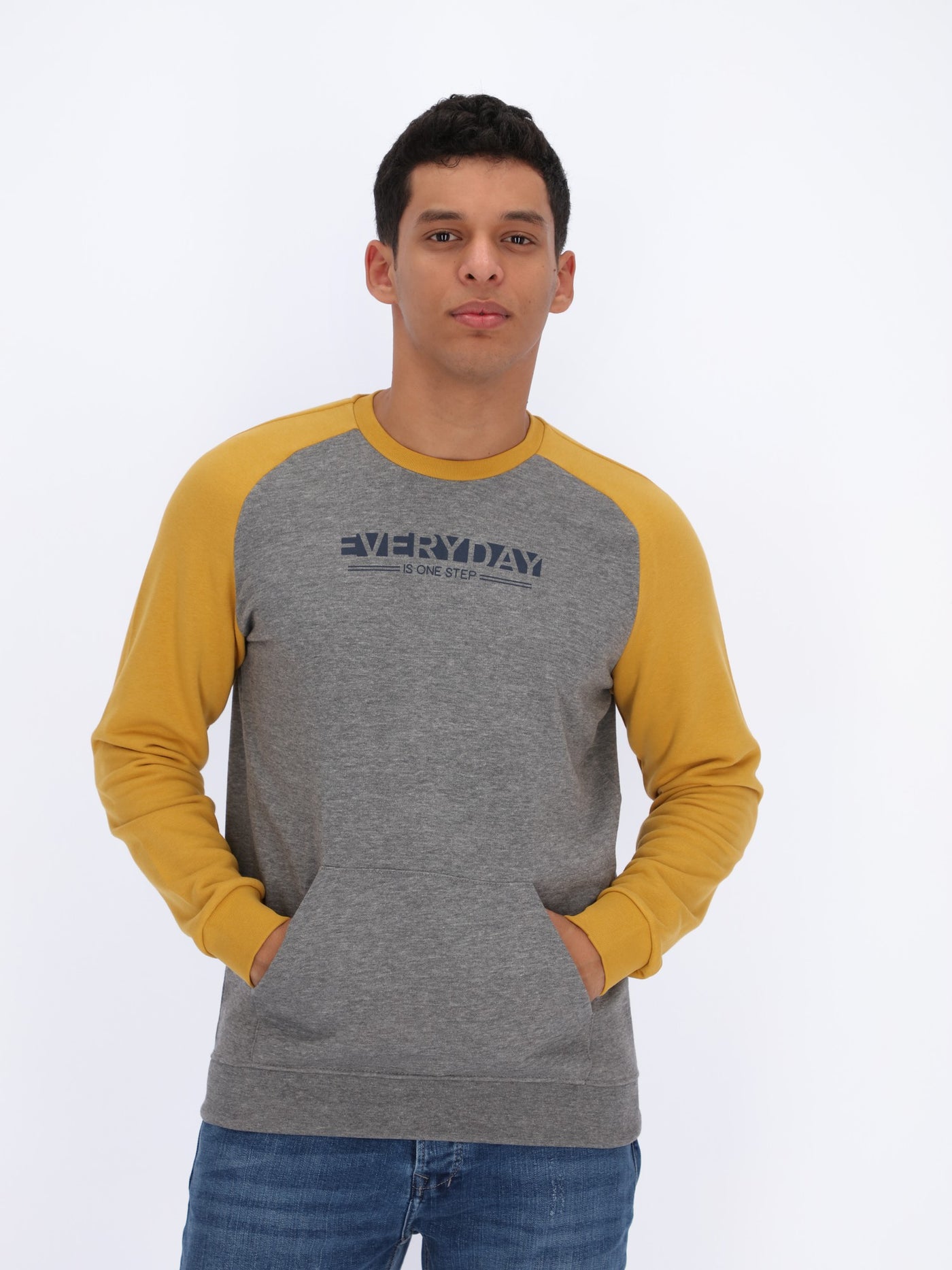 Sweatshirt with Color-Block Raglan Sleeves