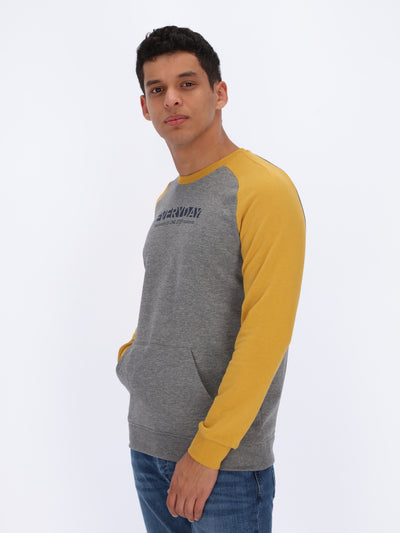 Sweatshirt with Color-Block Raglan Sleeves