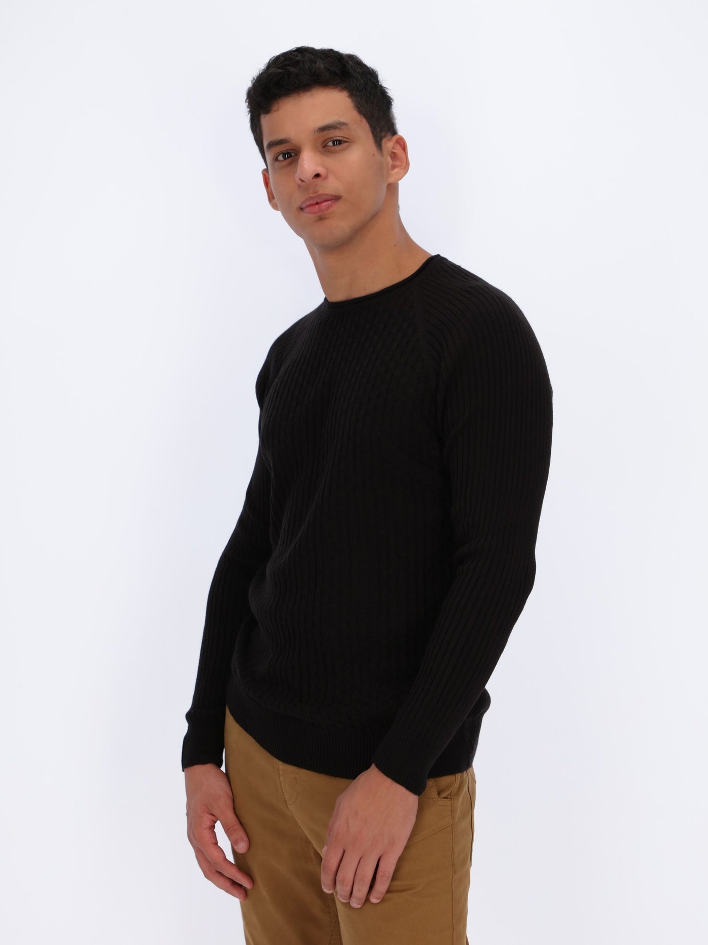 Small Cable Textured Raglan Sleeve Pullover