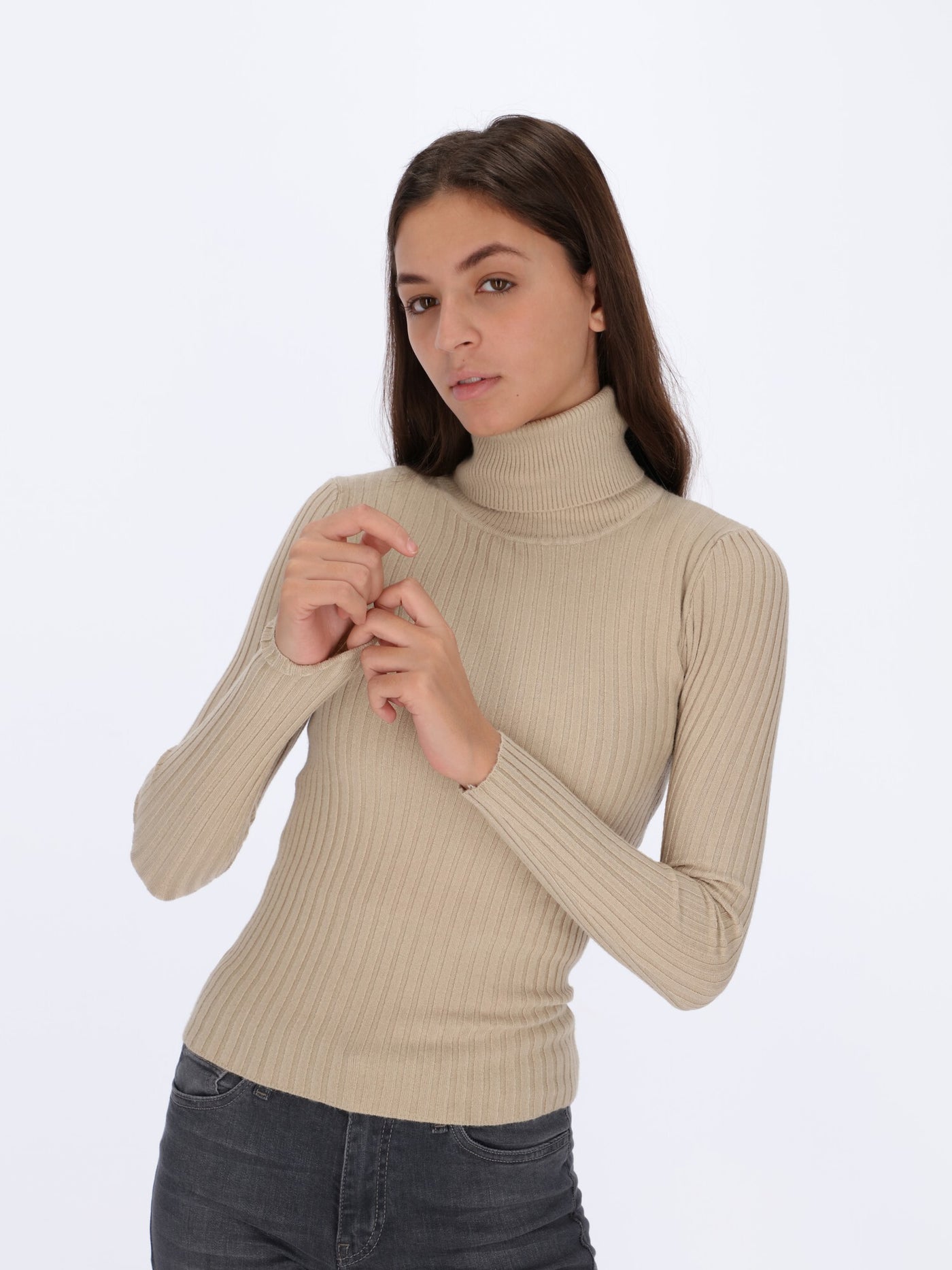 Ribbed Pullover with High Neck