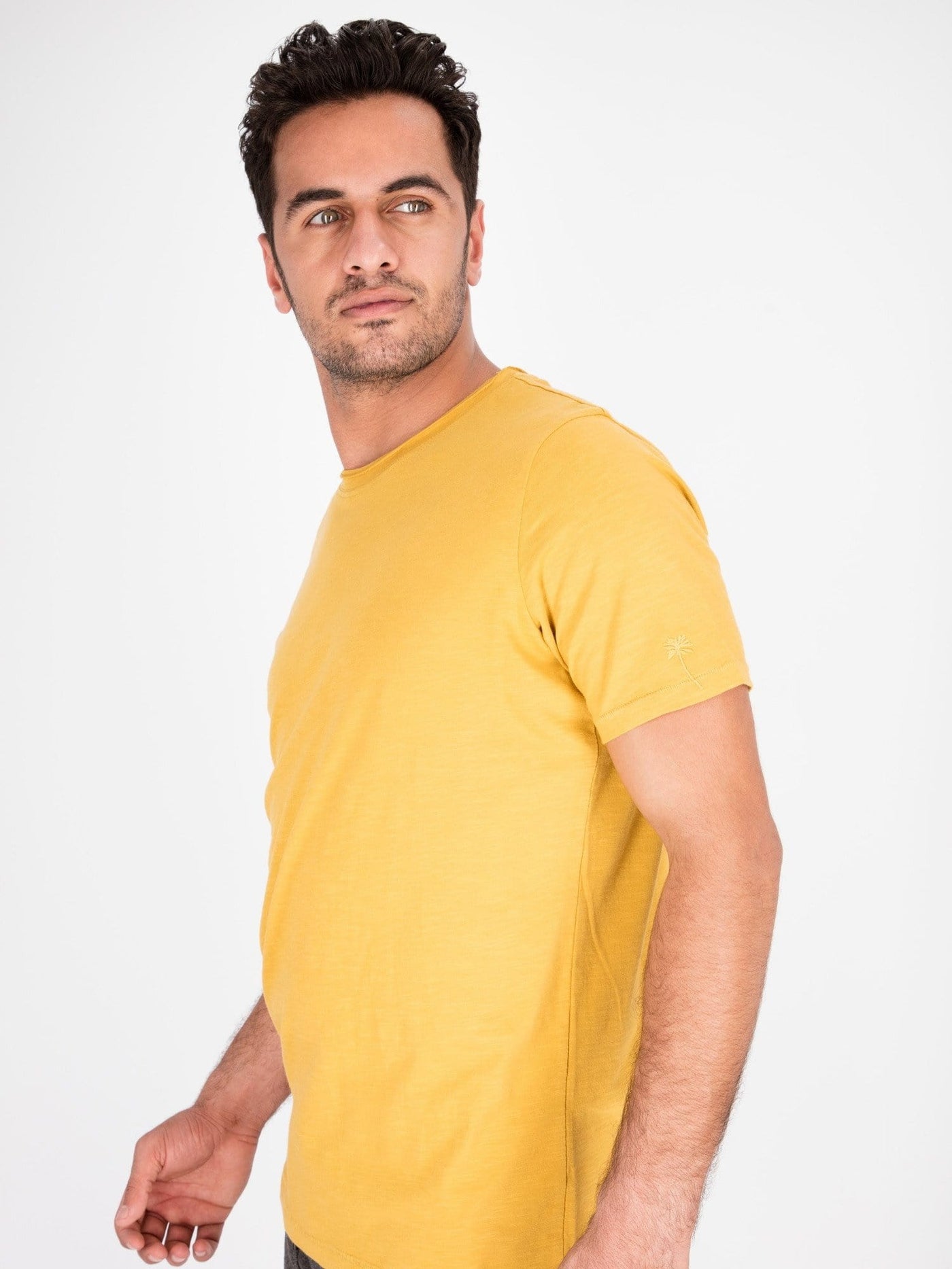 Daniel Hechter T-Shirts Mustard / S Raw Trim Round Neck Short Sleeve T-Shirt